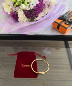 Cartier Fashion Nail Bracelet