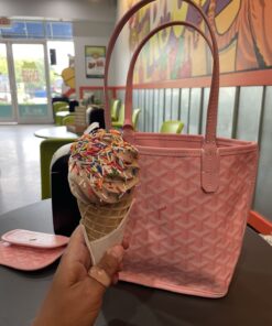 Goyard Anjou Mini Bag & Wallet Bag