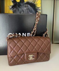 Chanel Capitona Brown Leather Bag + Chanel Box