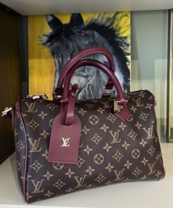 LV Speedy 30 Soft Celebration Bag